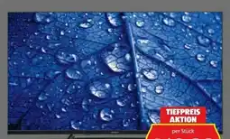 Hofer Medion Full HD Q-LED Smart-TV Life P8402581 Angebot