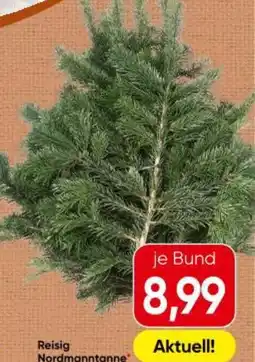Interspar Reisig Nordmanntanne Angebot