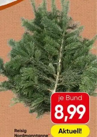 Interspar Reisig Nordmanntanne Angebot