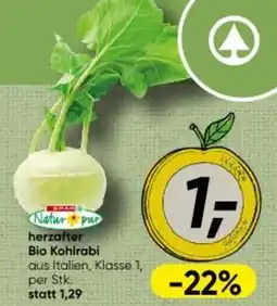 Interspar herzafter Bio Kohlrabi Angebot
