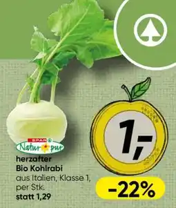 Spar herzhafter Bio Kohlrabi Angebot