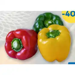 T&G M Paprika Tricolor T&G Angebot