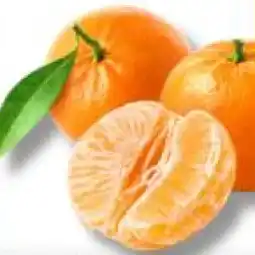 T&G Clementinen T&G Angebot