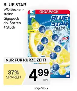 Bipa Blue star Angebot