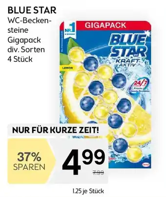 Bipa Blue star Angebot