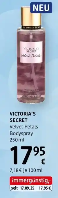 dm Victoria's secret velvet petals Angebot