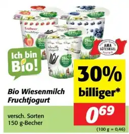 Nah&Frisch Bio Wiesenmilch Fruchtjogurt Angebot