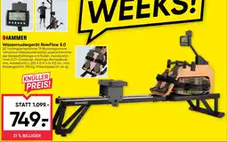 Maximarkt Wasserrudergerät Row Flow 5.0 Angebot