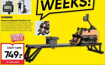 Maximarkt Wasserrudergerät Row Flow 5.0 Angebot