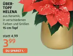 Bellaflora Über- topf helena Angebot