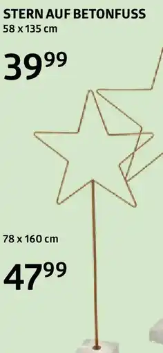 Bellaflora STERN AUF BETONFUSS Angebot