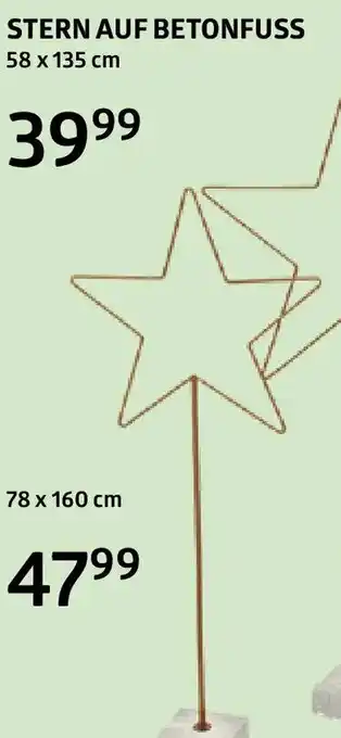 Bellaflora STERN AUF BETONFUSS Angebot