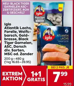 Billa iglo Atlantik Lachs, Forelle, Wolfs- barsch, Gold- brasse, Black Tiger Garnelen, ASC, Dorsch Angebot