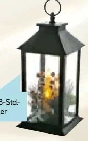 Hellweg LED-Laterne Clara Angebot