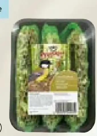 Hellweg Pfiffikus Nusszapfen Angebot