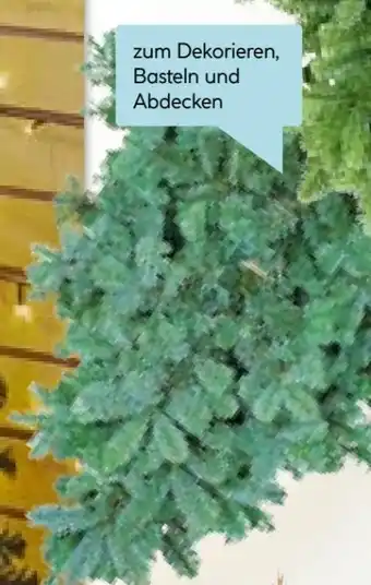 Hellweg Tannenzweige Angebot