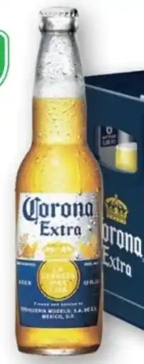 T&G Corona Extra Mexican Beer Angebot
