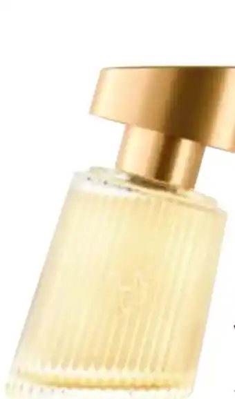 dm Bruno Banani Vanilla Muse Damen EdP Angebot