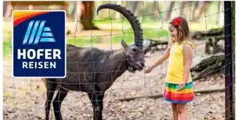 Hofer Hofer-Reisen Tirol-Innsbruck Angebot