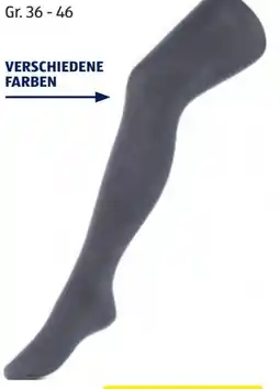 Hofer Up 2 Fashion Dame-Strumpfhose Angebot