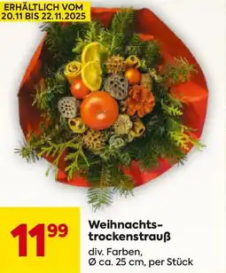 Billa Weihnachts- trockenstrauß Angebot