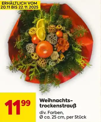 Billa Weihnachts- trockenstrauß Angebot