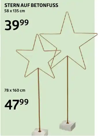 Bellaflora Stern auf betonfuss Angebot