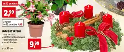 Thomas Philipps Adventskranz Angebot