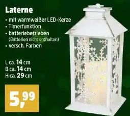 Thomas Philipps Laterne Angebot