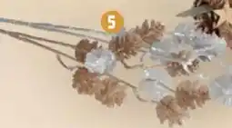 Thomas Philipps Tannenzapfenzweig Angebot