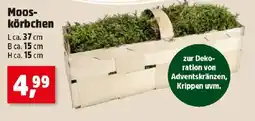Thomas Philipps Moos- körbchen Angebot