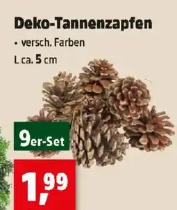 Thomas Philipps Deko-Tannenzapfen Angebot