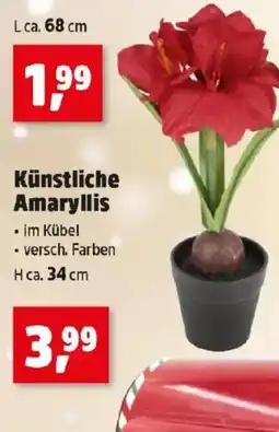 Thomas Philipps Künstliche Amaryllis Angebot