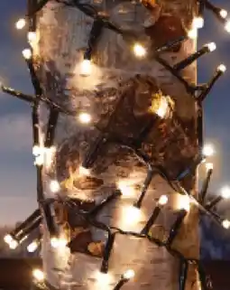 Woolworth LED-Lichterketten Angebot