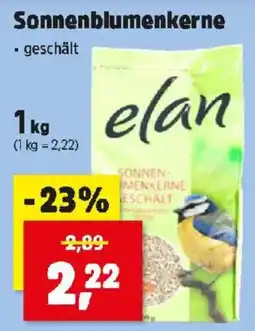 Thomas Philipps Sonnenblumenkerne Angebot