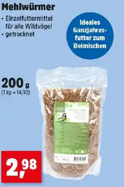 Thomas Philipps Mehlwürmer Angebot