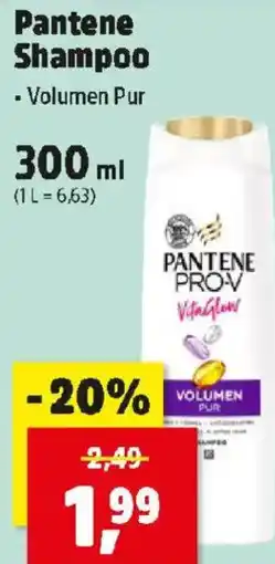 Thomas Philipps Pantene Shampoo Angebot