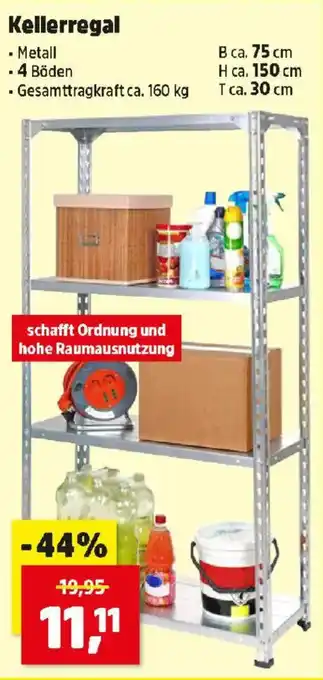 Thomas Philipps Kellerregal Angebot