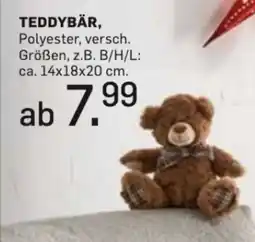 Möbel Ludwig Teddybär Angebot