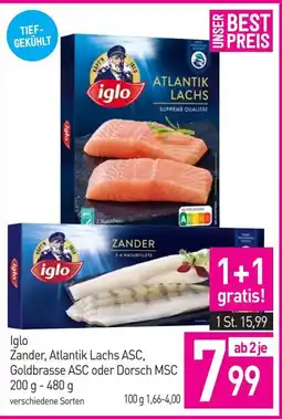 Sutterlüty iglo Zander, Atlantik Lachs ASC, Goldbrasse ASC oder Dorsch MSC Angebot