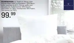 Möbel Ludwig DAUNENKISSEN Angebot