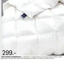 Möbel Ludwig GANZJAHRES-DAUNENDECKE Angebot