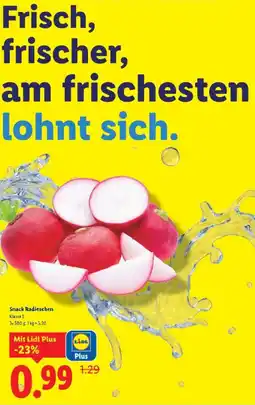 Lidl Snack Radieschen Angebot