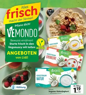 Lidl Veganer Kokosjoghurt 2x125g Angebot