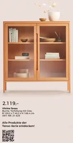 Grüne Erde Vitrine Tenso Angebot