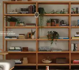 Grüne Erde Regal Quintum Variante Angebot