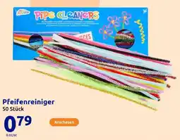 Action Pfeifenreiniger Angebot