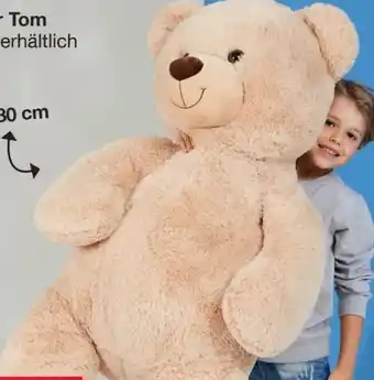 Woolworth XXL-Teddybär Tom Angebot