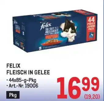 Felix fleisch in gelee