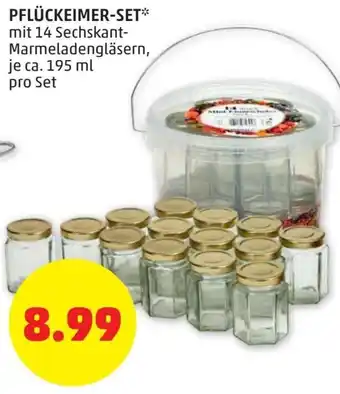PENNY Pflückeimer Set 195 ml Angebot